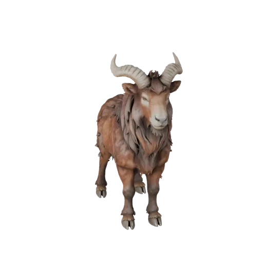 3D модель ибекса, вид сбоку игровой камеры, готовый для Unity ассет животного с направлением шерсти, формами корней рогов, ко