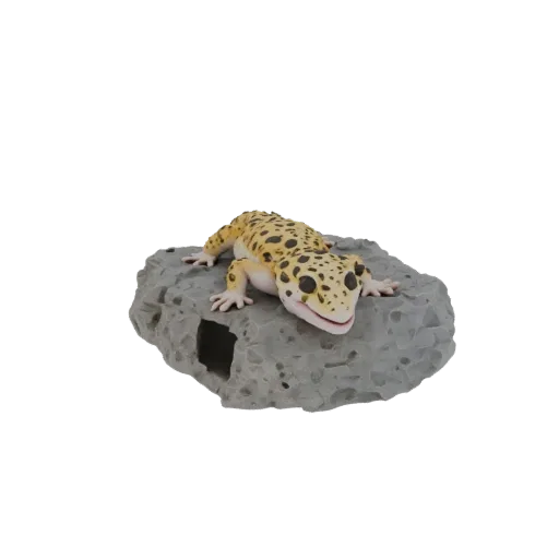 3D модель укрытия для эублефара в виде натурального камня с круглым входом, на сером камне лежит фигурка эублефара.