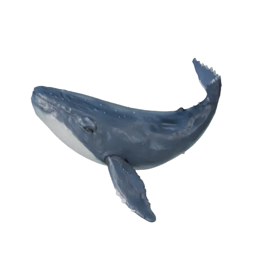 3D модель Косатки, вид сбоку, рендер дикой природы, готовый для Blender ассет животного с реакцией кожи под водой, толщиной п