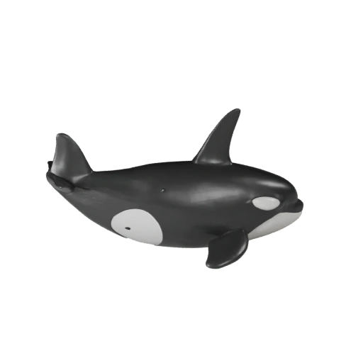 Мультяшная косатка 3D модель - Стилизованный ассет для анимации | Бесплатно