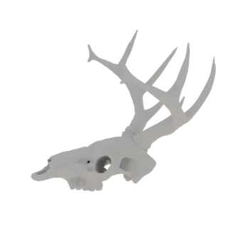 3D-рендер белого черепа оленя с большими ветвистыми рогами на простом белом фоне.
