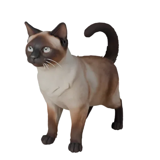 Реалистичная 3D модель сиамской кошки, вид сбоку, рендер дикой природы, готовый к анимации ассет животного с подушечками усов