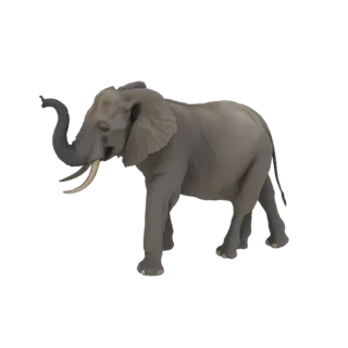 3D модель величественного африканского слона с поднятым хоботом, стоящего на белом фоне.