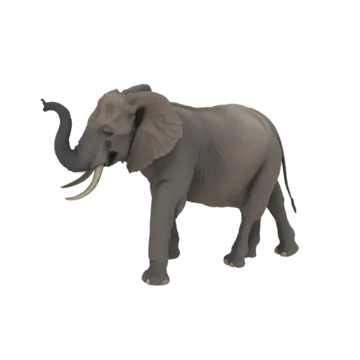 3D модель величественного африканского слона с поднятым хоботом, стоящего на белом фоне.