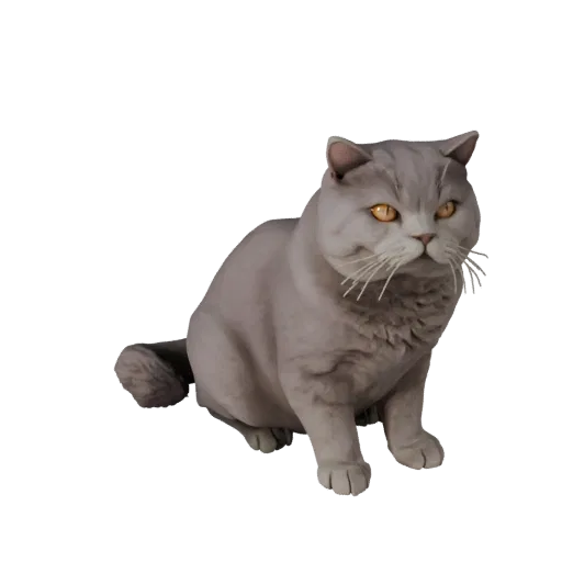 Высокополигональная 3D-модель британской короткошерстной кошки STL, изометрический вид, готовая к печати фигурка животного с