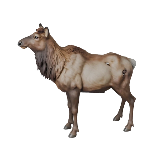 3D модель лося для Blender - PBR ресурс с текстурами | Роялти-фри