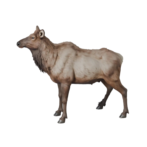 Реалистичный 3D модель лося - rigged PBR ассет для игр | Бесплатно