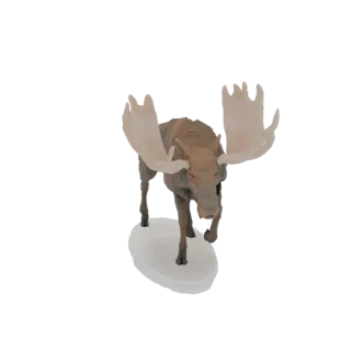 3D модель величественного лося с большими светлыми рогами, стоящего на белом основании, вид спереди.