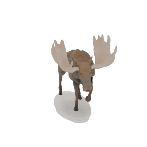 3D модель величественного лося с большими светлыми рогами, стоящего на белом основании, вид спереди.