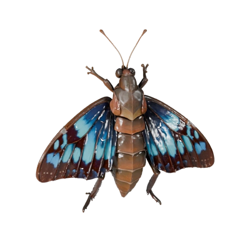 3D модель бабочки махаон для Blender - PBR ресурс с текстурами