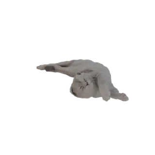 3D модель светло-серого кота, мирно спящего на боку, с закрытыми глазами и подобраными лапами.