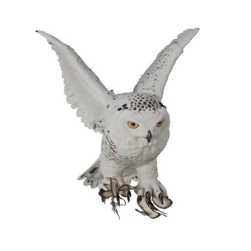Реалистичная снежная сова 3D модель - rigged PBR ассет для игр | PBR