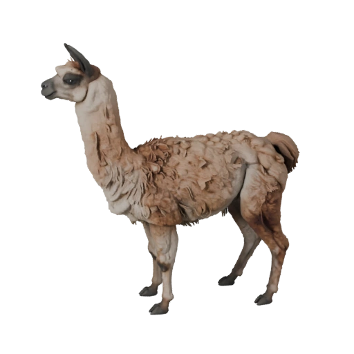3D модель ламы для Unity - Готовый игровой ассет, FBX | Без роялти
