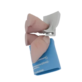 3D модель носовых раковин человека со светло-розовой силиконовой вставкой, демонстрирующая детальные анатомические структуры