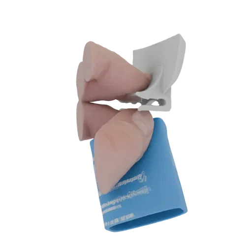 3D модель носовых раковин человека со светло-розовой силиконовой вставкой, демонстрирующая детальные анатомические структуры
