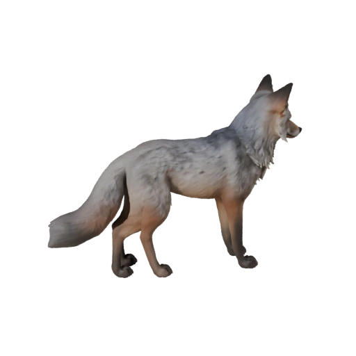 3D модель серой лисицы для Unity - Готовый игровой ассет, FBX | Бесплатно