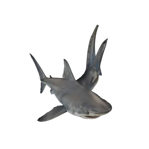 Реалистичная 3D модель акулы-молота, вид сбоку, рендер дикой природы, готовый к анимации ассет животного с реакцией кожи под