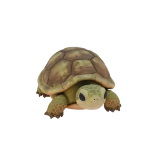 3D модель мультяшной черепахи с зеленым панцирем и добрыми глазами, на белом фоне