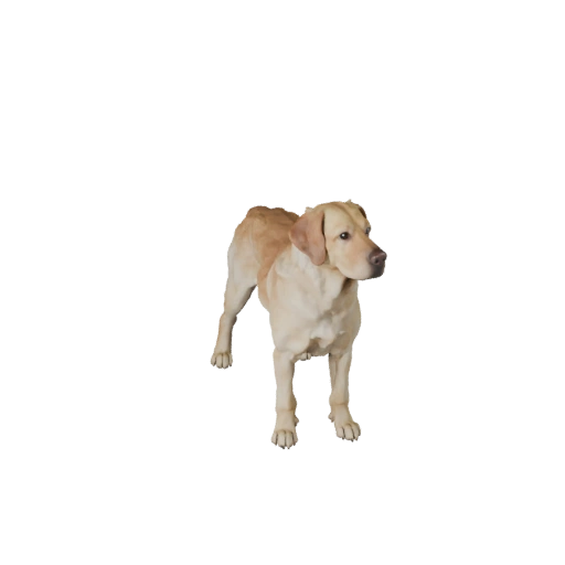 3D модель лабрадора ретривера для Unity - Игровой готовый ассет, FBX