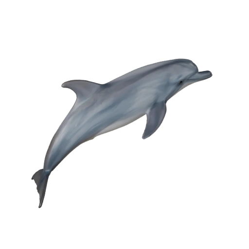 3D модель афалины для Blender - PBR ресурс с текстурами