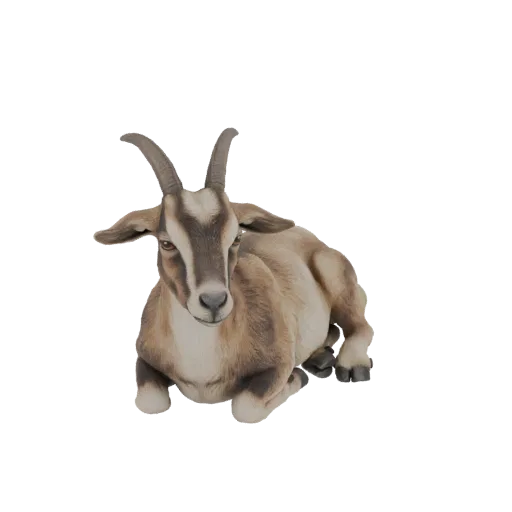 Реалистичная 3D модель коричнево-белой козы, отдыхающей на ногах и смотрящей на зрителя.