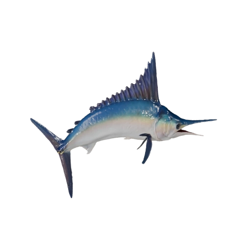 Реалистичный 3D Марлин Модель - Rigged PBR Ассет для Игр | PBR