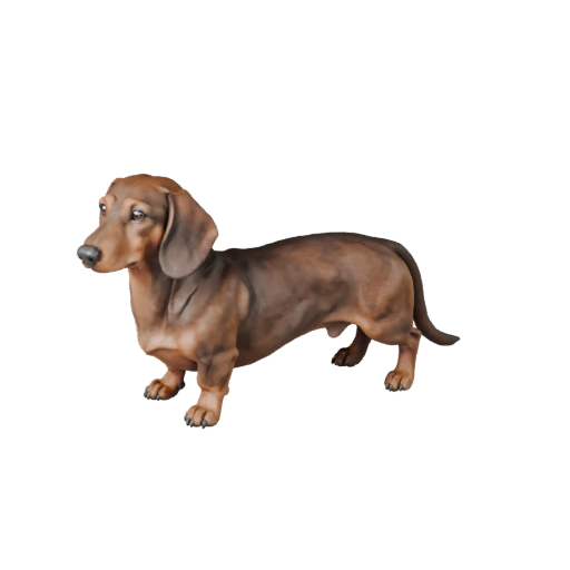 Реалистичная такса собака 3D модель - rigged PBR ассет для игр