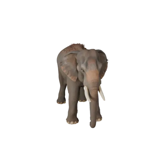 3D модель азиатского слона, вид сбоку в игровом ракурсе, готовый для Unity ассет животного с четкой анатомией, естественной м