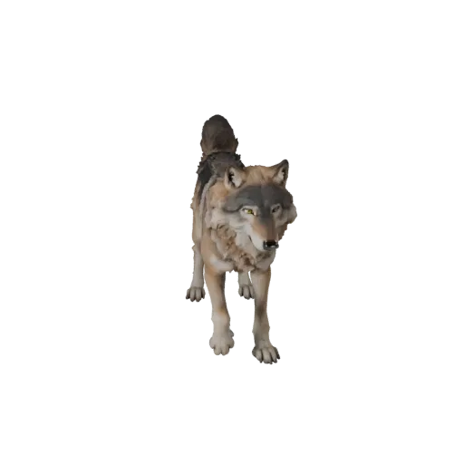 Реалистичная 3D модель волка, вид сбоку, рендер дикой природы, готовый к анимации ассет животного с плоскостями морды, подуше