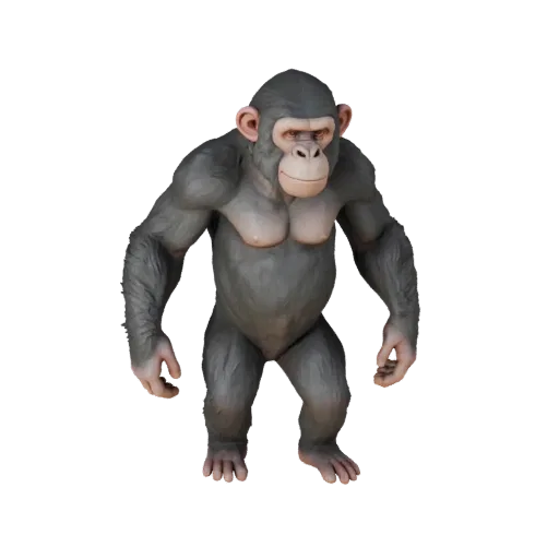 3D модель шимпанзе, вид сбоку игровой камеры, готовый к использованию в Unity ассет животного с лицевой мускулатурой, детализ