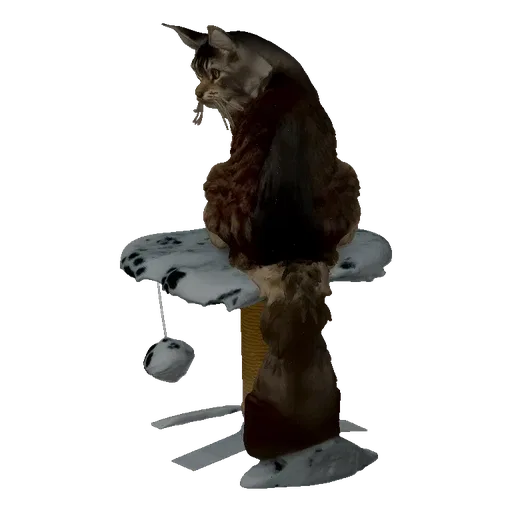 3D модель пушистого коричневого Мейн-куна на сизалевой когтеточке, вид сзади.