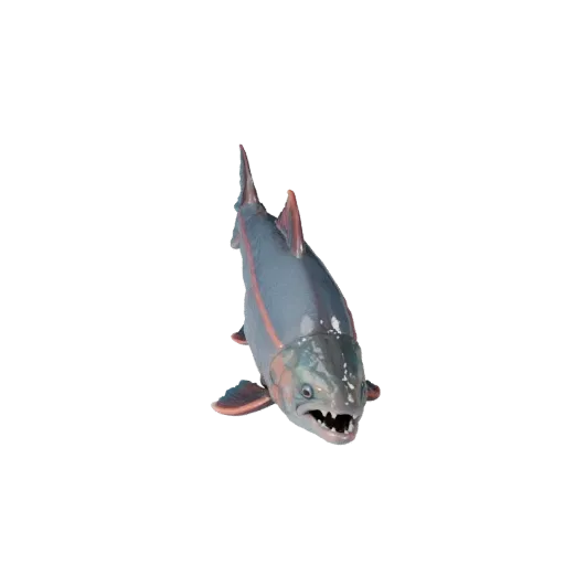 3D модель лосося, рендер дикой природы сбоку, готовый к использованию в Blender ассет животного с подводной реакцией кожи, то