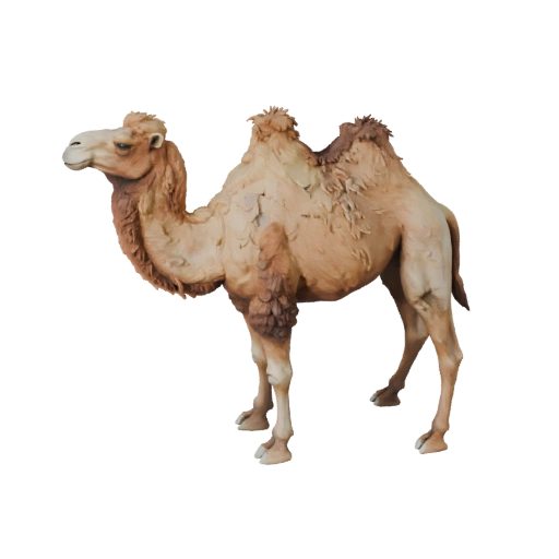 3D модель верблюда для Blender - PBR ресурс с текстурами | Бесплатно