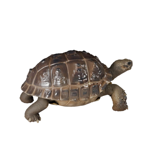 3D модель галапагосской черепахи для Blender - PBR ресурс с текстурами