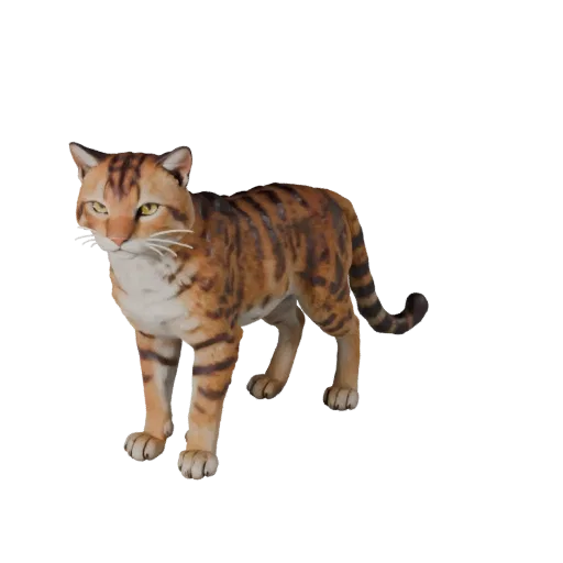 3D модель гепарда, вид сбоку, рендер дикой природы, готовый к работе в Blender ассет животного с подушечками усов, скольжение
