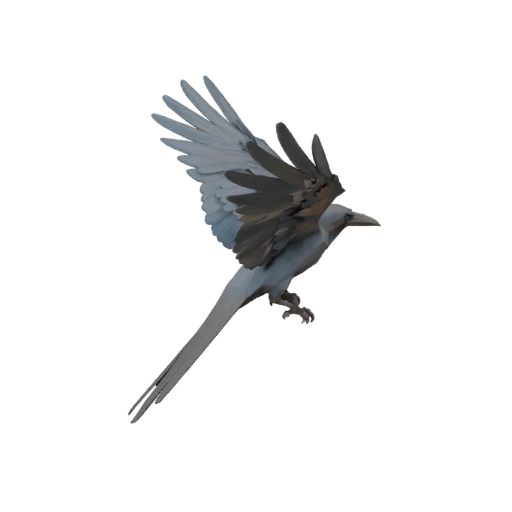 Низкополигональная 3D модель вороны - Игровой ассет Unity с FBX | Бесплатно