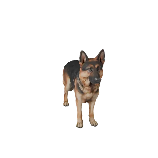 3D модель Немецкой овчарки, вид сбоку, рендер дикой природы, готовый к использованию в Blender ассет животного с плоскостями