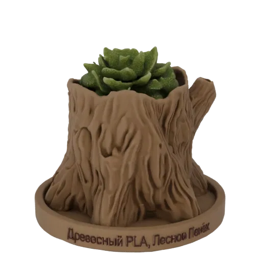 3D модель кашпо-пня с зеленым суккулентом, с детализированной текстурой коры и основанием-блюдцем.