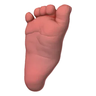 Реалистичная 3D модель ножки младенца, показывающая детали пальцев и подошвы на черном фоне.
