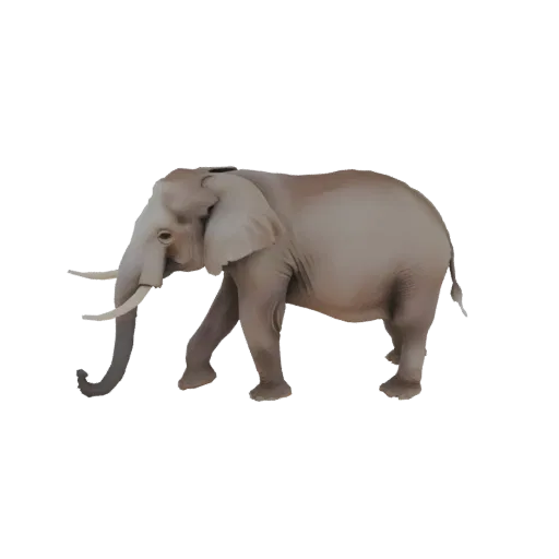 Реалистичная 3D модель африканского слона в движении, с детализированной текстурой кожи и большими бивнями.