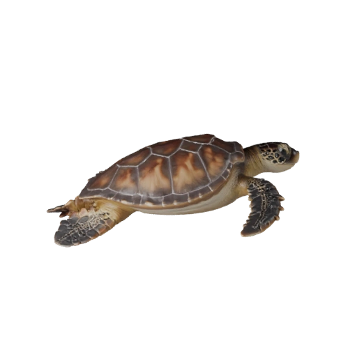 Реалистичная 3D модель морской черепахи - rigged PBR ассет для игр