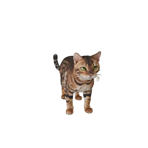 3D модель бенгальской кошки, вид сбоку, рендер дикой природы, готовый для Blender ассет животного с сужением челюсти, лопатка