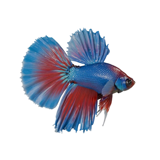 Реалистичный петушок 3D модель - Rigged PBR Asset для игр