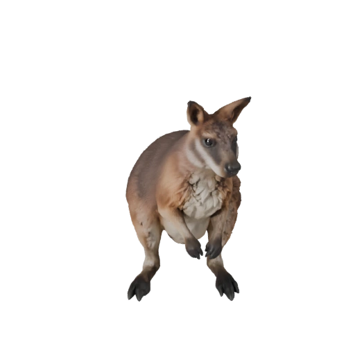 3D модель валлаби для Unity - Готовый игровой ассет, FBX | Без роялти