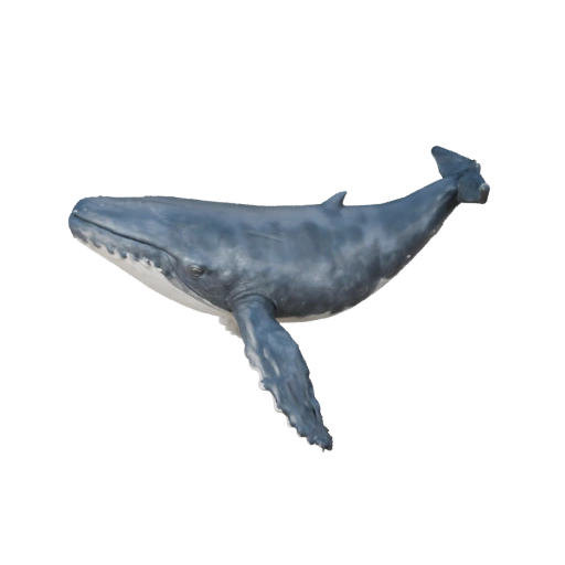 Горбатый кит 3D модель для Unity - Готовый игровой ассет, FBX | PBR