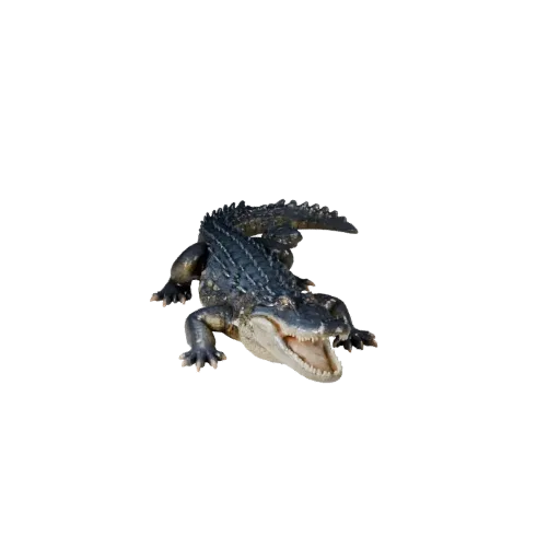 Высокополигональная 3D-модель аллигатора STL, изометрический вид, готовая к печати фигурка животного с детализацией чешуи, пл