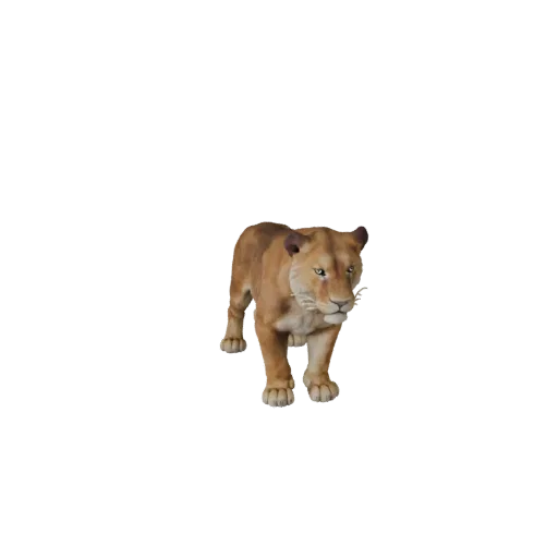 3D модель львицы, вид сбоку, рендер дикой природы, готовый для Blender ассет животного с подушечками усов, скольжением плеча,