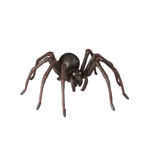 3D модель черной вдовы паука для Blender - PBR ресурс с текстурами