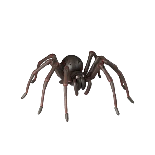 3D модель паука Черная вдова, рендер дикой природы сбоку, готовый для Blender ассет животного с размещением усиков, сегментам