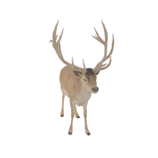 3D модель лани с большими лопатовидными рогами, стоящая настороже.